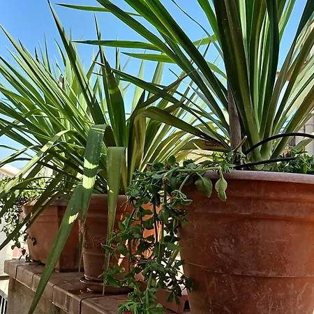 Casa Ennio By Paola Ciminna