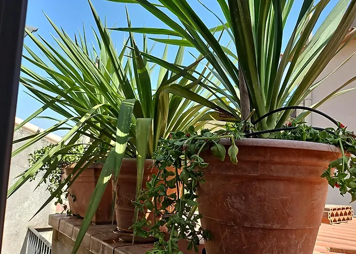 Casa Ennio By Paola Ciminna