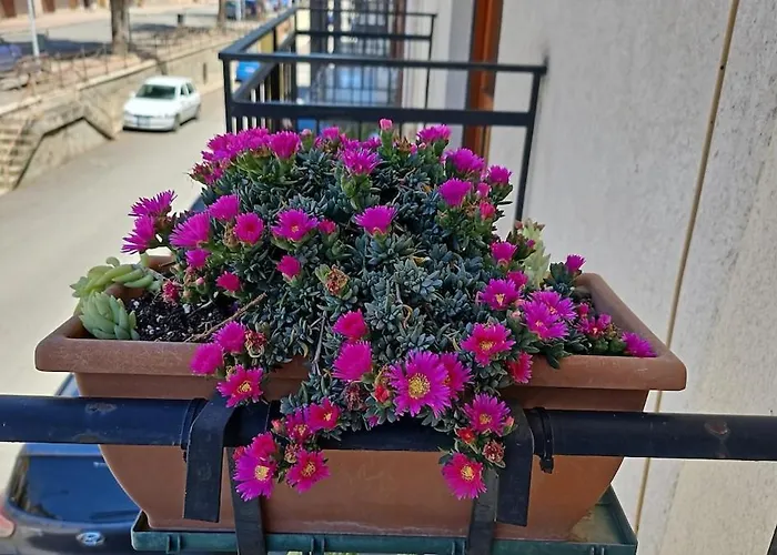 Casa Ennio By Paola Affittacamere *